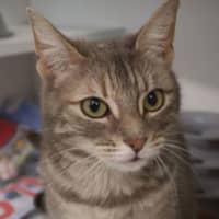 Photo of Willa
