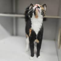 Photo of Maggie