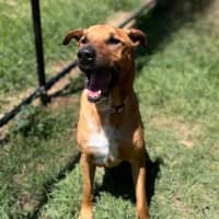 Photo of Motley