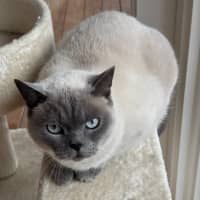 Photo of Ollie & Kobe