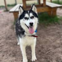 Photo of Tiny Tina
