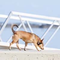 Photo of Milly Milly