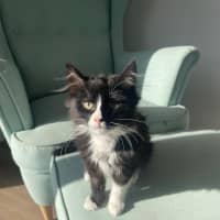 Photo of Max