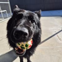 Photo of Archie 💘