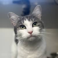 Photo of Thomas