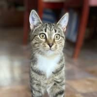 Photo of Bella
