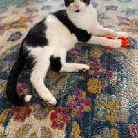 Photo of Boots