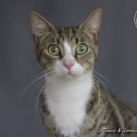 Photo of Dolly Parton