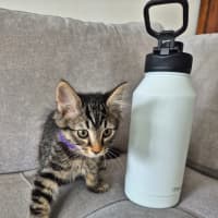 Photo of Bucket