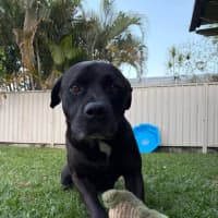 Photo of Axel