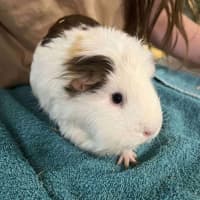 Photo of Gina & Mina