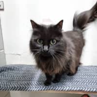Photo of Bell