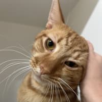 Photo of Sammy