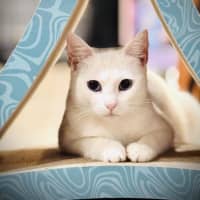 Photo of Antoinette And Angelique