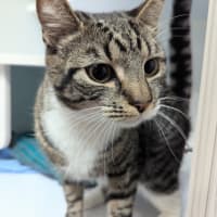 Photo of Bonny