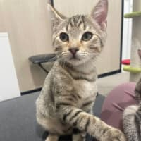 Photo of Louie