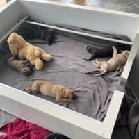 Photo of Tin Tin 27kg