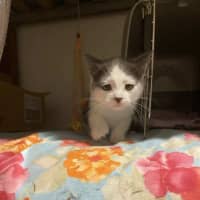 Photo of Hazel