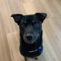 Photo of Luna 