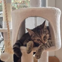 Photo of Cinnamon 