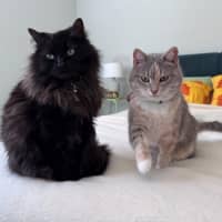 Photo of Sootie Uffelman