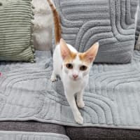 Photo of Sam