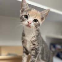 Photo of Geneva (9958)