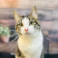 Photo of Coffee   Located In Thornbury