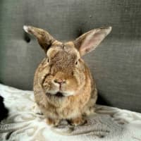 Photo of Strawberry And Popcorn 