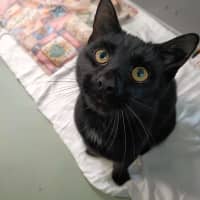 Photo of Louie