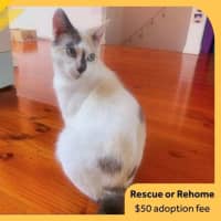 Photo of Tabitha
