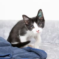 Photo of Little Whimsical 