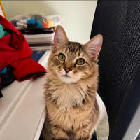 Photo of Fred