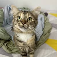 Photo of Samara Mae 