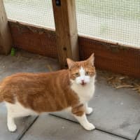 Photo of Toasty