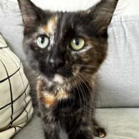 Photo of Nutmeg & Cinnamon