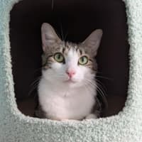 Photo of Sara Bellum