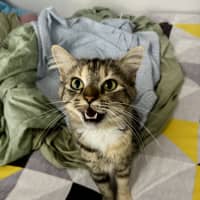 Photo of Samara Mae 
