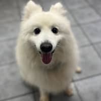 Photo of Muise