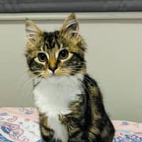 Photo of Morgan   Located In Grantville