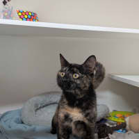 Photo of Agnes