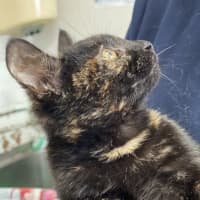 Photo of Mimi
