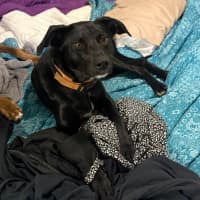 Photo of Max