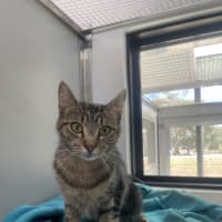 Photo of Ellie