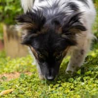 Photo of Betsy Moriarty