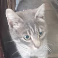 Photo of Adie (Aka Admetus)