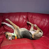 Photo of Olivia