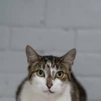 Photo of Zoom