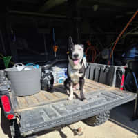 Photo of Annie