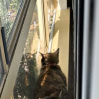 Photo of Misty